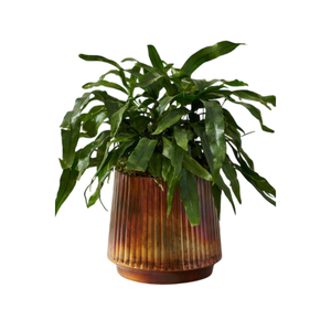 Pot de fleurs en cuivre sculpté à la main avec texture martelée, design rustique pour la décoration des plantes de jardin, jardinière artisanale en solde - Product Image 2