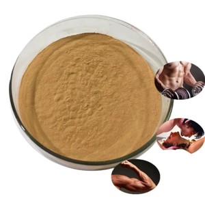 Extrait de racine de Tongkat Ali 100 % pur, 10:1, en poudre, naturel, Eurycoma Longifolia, pour soutenir l'énergie et la vitalité – Vente chaude OEM - Product Image 2