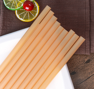 Eco-friendly Biodegradable Sugarcane <b>Disposable</b> Straight Straws 210mm - Product Image 6