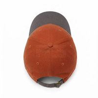 Casquette de baseball professionnelle 100% coton 6 panneaux avec boucle argentée en cuivre, design sportif imperméable, service OEM, nom d'équipe, toutes saisons