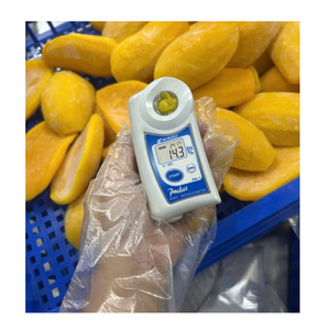 Mangues surgelées de qualité supérieure en provenance du Vietnam pour la vente en gros et l'approvisionnement international en vrac - Product Image 3