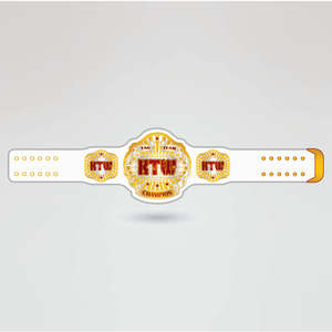 Custom Gold <b>Wrestling</b> Belt with Globe Design and Red Text Logo for Championship Use Custom gold <b>wrestling</b> belt Globe design cham - Product Image 2