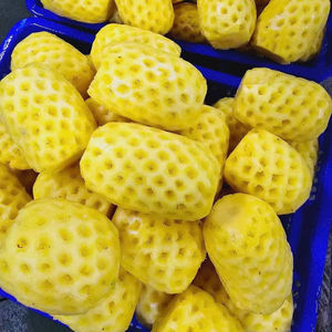 Piña Congelada en Trozos al Vacío para Servicio de Alimentos, Dulce, Aromática, Tropical, con Conservación de la Hidratación, para Restaurantes, Vietnam - Product Image 1