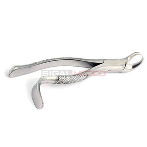 High-Quality Dental Extraction Forceps #16 Precision Stainless Steel Instrument for Oral Surgery and Tooth Extraction Surgical - Product Image 6