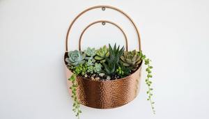 Macetero de pared con diseño martillado de primera calidad, acabado en dorado, para decoración de pared de balcón, decoración de pared para cafeterías y restaurantes. - Product Image 4