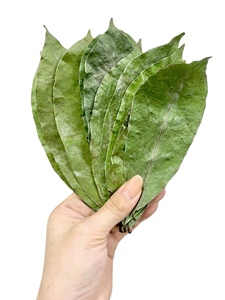 Hojas de Guanábana Secas EXPAD 500g - Preparar con Agua Caliente para Beneficios para la Salud, 18 Meses de Duración, Hecho en la Ciudad de Ho Chi Minh - Product Image 4