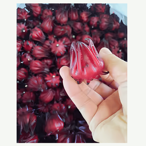 Flores de Hibisco Frescas Premium de Vietnam - Ingrediente Herbal de Roselle de Alta Calidad, 12 Meses de Vida Útil, Venta al por Mayor para Exportación - Product Image 1
