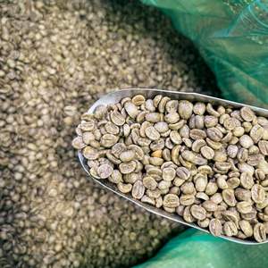 HANCOFFEE ผู้จัดจำหน่ายกาแฟเวียดนาม ปี 2026 กาแฟโรบัสต้าคุณภาพดีที่สุด - เกรด 1 แบบธรรมชาติ/แบบล้าง/แบบฮันนี่โปรเซส - แจกตัวอย่างฟรี - Product Image 1