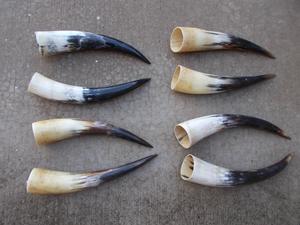 Par de Cuernos de Búfalo Pulidos para Decoración de Pared, Diseño Art Deco, Grandes de 27 a 35 Pulgadas, para Bodas, Cumpleaños, Aniversarios - Product Image 3