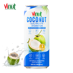 Eau de coco vietnamienne pure à 99 %, 500 ml, boisson isotonique naturelle en canette, 12-16 Brix, durée de conservation de 12 mois, service d'étiquetage privé - Product Image 1