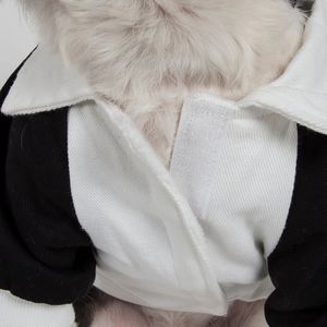 Varsity Styled Buckled <b>Collared</b> <b>Pet</b> Coat Stylish <b>Pet</b> Clothes - Product Image 3