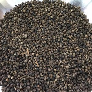 Pimienta Negra Premium en Grano 500GL 550GL 570GL 5MM ASTA CLEAN QUALITY ORIGEN VIETNAM GRANOS DE PIMIENTA SECOS PARA EXPORTACIÓN VENTA A GRANEL - Product Image 4