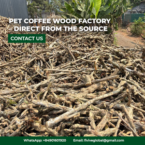 Palitos de Madera de Café Natural para Masticar, Fabricante OEM ODM de Vietnam, Proveedor al por Mayor, Madera Natural para Dientes Fuertes - Product Image 3