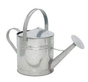Arrosoir rustique fait main pour l'arrosage décoratif des plantes et l'aménagement de jardin - Product Image 1