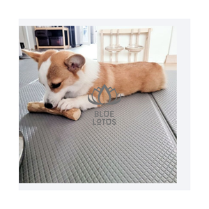 Jouets à mâcher en bois de café pour grands chiens, disponibles en 2025, pour renforcer la force de la mâchoire et stimuler la mentalité, jouets à mâcher en bois pur, écologiques - Product Image 1