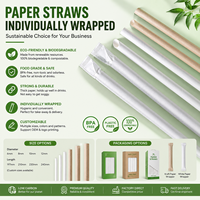 Pailles à boire en papier kraft emballées individuellement, biodégradables, écologiques, de qualité alimentaire, pour la vente en gros aux restaurants