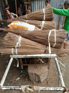 Venta al por mayor de palos de escoba de coco VIGI FARM de Vietnam, 24 meses de vida útil, limpios y secos, listos para la producción - Product Image 4