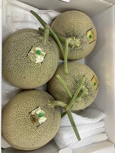 Frutas Japonesas de Calidad Incomparable, Amplia Selección de Variedades de Pulpa Verde y Roja, Melones Frescos - Product Image 3