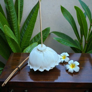 VADEE Sola Wood Flower Craft Handmade Sustainable Pure Ivory Elegance Sola Wood Flowers 8.5 CM Sesbania Fiber Rod Thailand - Product Image 5