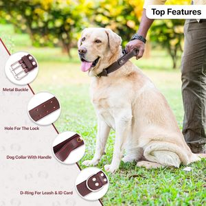 Collier pour chien en cuir premium rembourré avec un design à points fantaisie, boucle en argent poli, cuir de vachette souple rembourré - Product Image 3