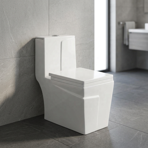 WC monobloc en céramique blanc à double chasse Vistaar Brand Wholesale NOM Standard - Product Image 2
