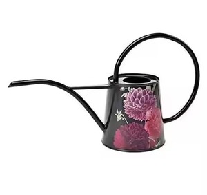 Arrosoir en métal de qualité supérieure avec motif floral, outil de jardinage durable, finition peinte - Product Image 1