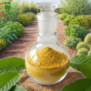 Extracto de Hoja de MIT 80% Herbal Tailandés AuE, Grado Farmacéutico, Envasado al Vacío, Extraído con Solvente, Raro y Difícil de Encontrar - Product Image 5