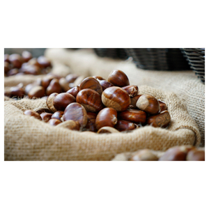 Castañas Frescas, Frutos Secos Crudos para Asar y Uso Culinario - Product Image 5