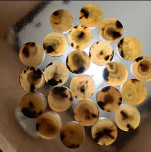 Ébauches de boutons en corne de vache/buffle fabriquées à la main couleur naturelle de haute qualité écologique pour l'industrie du vêtement par FWE - Product Image 3