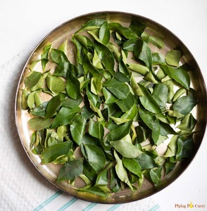 Hojas de Curry Aromáticas Naturales de Primera Calidad, Extracto Herbal de Grado Alimenticio, Cultivo Silvestre, Exportadores de Matras ME519, Satisfacen la Demanda Global - Product Image 6