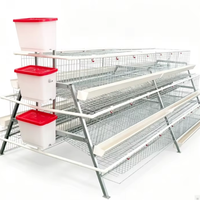 Cage à poulets de type A, anti-rouille, pour 120/128 poules pondeuses, bon prix