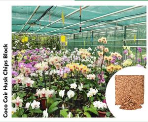 Exportateur de confiance de puces de cosse de coco de meilleure qualité blocs de 5kg pour la literie de terrarium pour lézard de tortue de serpent - Product Image 5