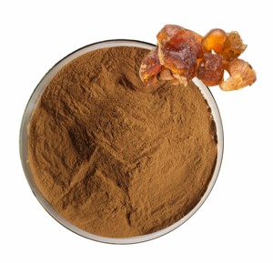 Extrait de Guggul 100% Pur, Meilleure Vente, 10% d'Extrait de Résine de Commiphora Mukul de Haute Qualité en Poudre pour le Soutien au Bien-être - Product Image 2