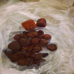 Cálculos Biliares Naturales de Alta Calidad para Medicina, Suministro de Cálculos Biliares de Vaca/Buey, Cálculos de Vesícula Biliar de Vaca a Precio Económico - Product Image 1