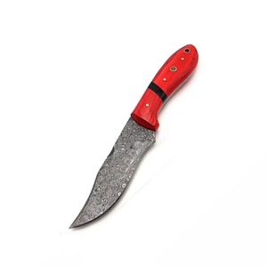 Cuchillo de caza de acero de Damasco con hoja fija de punta caída y mango rojo, para supervivencia al aire libre, a la venta a un precio asequible. - Product Image 1