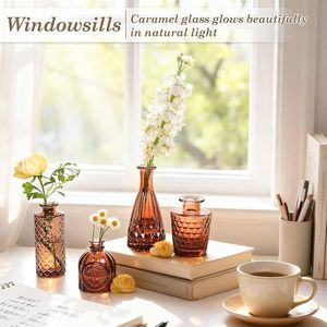 12-Piece <b>Small</b> Caramel Coffee Brown Etched Glass Bud Vase Set Unique Windowpane Shapes with <b>Weighted</b> Base for Display Windowsill - Product Image 4