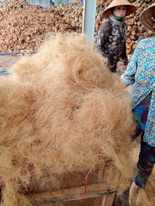 Offre Spéciale 2025!!! Fibre de coco naturelle/prix de fibre de coco/acheteur de fibre de coco au Vietnam - Product Image 6
