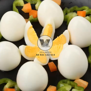 HUEVOS DE CODORNIZ ENLATADOS ECOLÓGICOS, FRESCOS DE GRANJA, EN SALMURAS, LISTOS PARA COMER, IDEALES PARA SOPAS Y PLATOS CALIENTES - Product Image 6