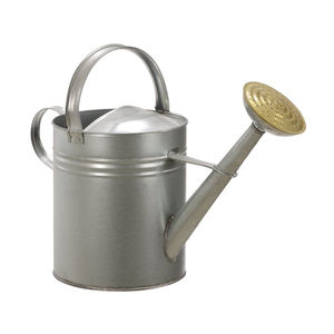 Arrosoir en acier galvanisé avec accent en laiton, résistant à la rouille, pour plantes d'intérieur et d'extérieur, avec buse détachable - Product Image 6