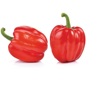 Pimientos Frescos Premium de Vietnam, Rojos, Amarillos y Verdes, Dulces |   Proveedor Mayorista de Exportación Viet Delta |   Duración de Caducidad: 2 Años - Product Image 4