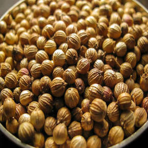 Premium Indian Eagle & Scooter Whole Coriander Seeds 99.5% Purity, Machine Cleaned, <b>Pesticide</b>-Free from Farms - Product Image 5
