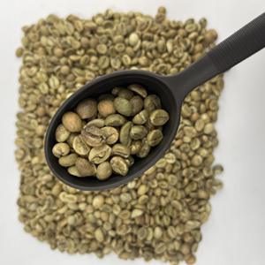 เมล็ดกาแฟโรบัสต้าคั่วเข้ม คุณภาพเยี่ยม สำหรับธุรกิจ B2B OEM ODM แบรนด์ดิ้ง ขายส่ง - Product Image 5