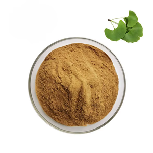 Poudre de feuilles de Ginkgo Biloba de qualité supérieure pour la santé du cerveau et le soutien de la circulation, 100 % pure, provenant d'Inde - Product Image 1