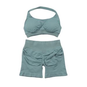 Custom Logo Seamless Women’s Gym Set Quick Dry Sports <b>Bra</b> and High Waisted Leggings Fitness Yoga - Product Image 2