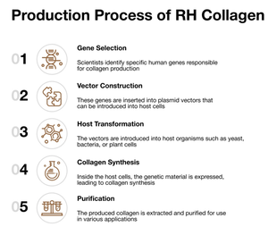 Sérum Rénovateur Cutané Lapiena RH X Collagène Acide Hyaluronique Niacinamide Éclaircissant Raffermissant Hydratant - Product Image 4