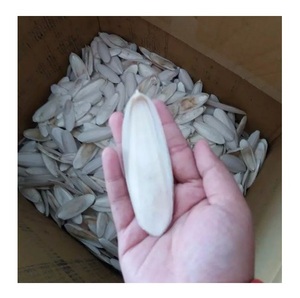 Hueso de Sepia Seco de 10-20cm, Blanco Natural, en Caja, Juguete Masticable para Aves - Product Image 1