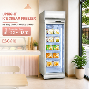 Congélateur commercial à porte simple pour la présentation de glaces et réfrigérateur vertical <span class=keywords><strong>avec</strong></span> dégivrage <span class=keywords><strong>automatique</strong></span> - Product Image 4