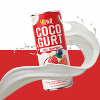 Vinut Cocogurt Boisson au yaourt saveur baies OEM ODM Marque privée Échantillon gratuit Grossiste