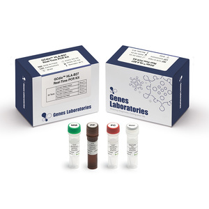 [Genes Lab] Kit de PCR en Tiempo Real Gcdia HLA-B27, Kit de Diagnóstico de Genotipificación por PCR en Tiempo Real para la Evaluación del Riesgo de Alzheimer en Sangre Completa - Product Image 1
