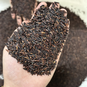 Productor de arroz glutinoso negro premium (no transgénico) - Empaquetado en bolsas al vacío de 1LB a 50LBS en RICE FACTORY (Joice) - Product Image 4